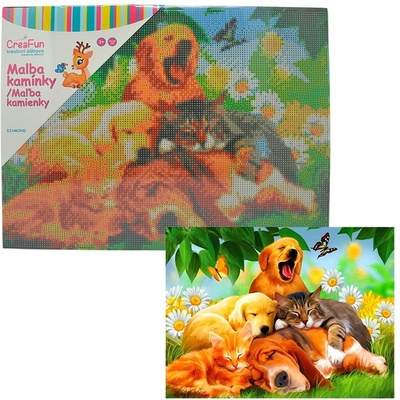 Diamantové malování - Siesta Psy a kočky 30 x 40 cm