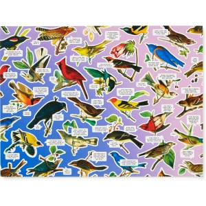 Galison - Puzzle Salty Birds - 1 000 piese