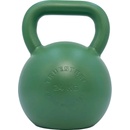 TRUESTEEL StrongGear ocel 24 kg