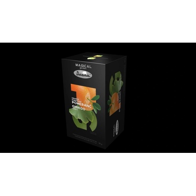Drana catering Magical Garden pomeranč ginkgo 20 x 2,5 g