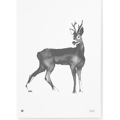 Teemu Järvi Plagát s motívom srnca Roe Deer 50x70