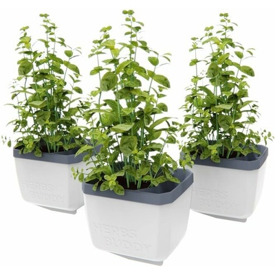 Gusta Garden GG-123F11