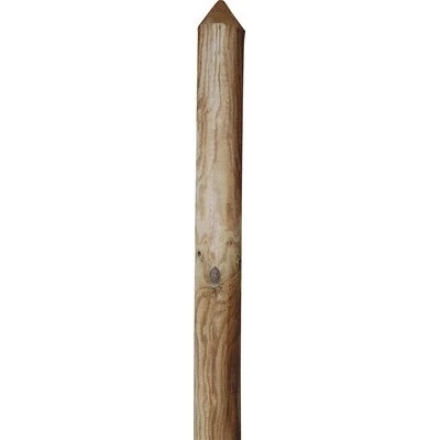 Dřevěná plotovka špičatá 22 x 46 x 1000 mm borovice tlakově impregnovaná