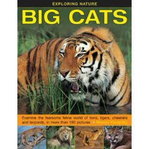 Exploring Nature: Big Cats | Rhonda Klevansky (2015)