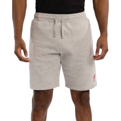 Fan-shop kraťasy LIVERPOOL FC Sweat grey