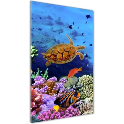 Vertikálny fotoobraz na skle Koralový útes 50x100 cm