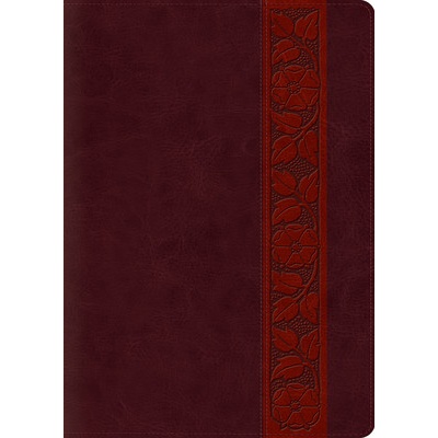 Study Bible-ESV-Large Print Trellis Design Crossway BiblesImitation Leather