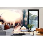 DIMEX ART Самозалепваща се флизелинова фототапета замръзнал балон 375 x 250 см