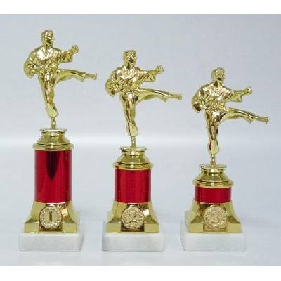 VIZINGR Karate trofeje MUŽ 30-F10 23 cm