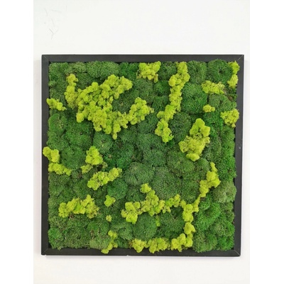 Mechový obraz z kopečkového mechu 80cm x 80cm