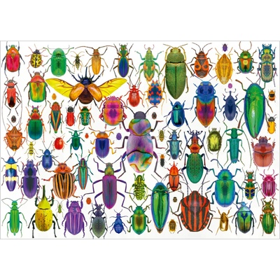 Educa - Puzzle Beetles - 500 piese
