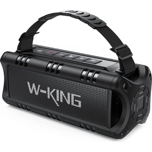 W-KING D320 Портативна тонколона