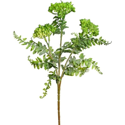 KS SEDUM ZELENÉ 42CM