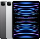 Apple iPad Pro 11 (2022) 1TB Wi-Fi Silver MNXL3FD/A