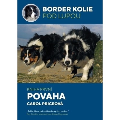 Border kolie pod lupou Povaha