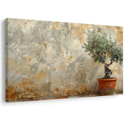 Obraz pokojový olivovník u zdi - 30x20