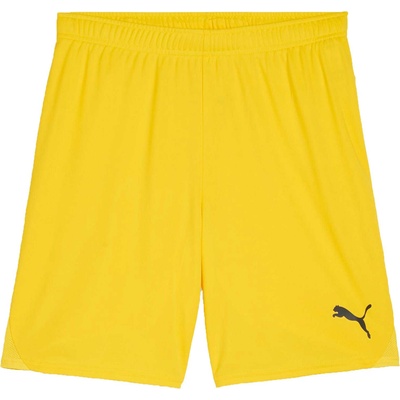 PUMA Teamgoal shorts s