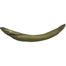 Lesovik Larva