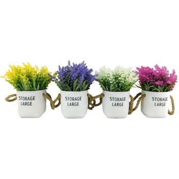 MAKRO - Sukulent 19cm