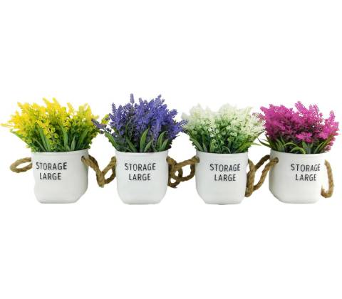 MAKRO - Sukulent 19cm
