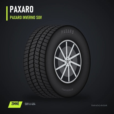 Paxaro Inverno 225/60 R17 103H