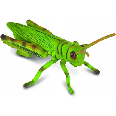 Collecta Kobylka luční