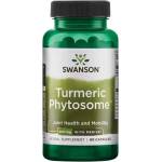 Swanson Turmeric Phytosome, 500 mg, 60 капсули, Swanson (SWU493)