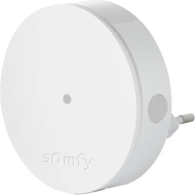 Somfy Radio Extender 2401495