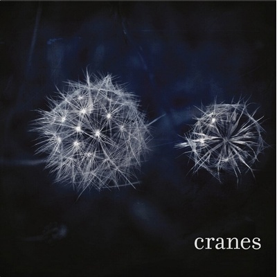 Cranes - Cranes (Limited Edition) (Numbered) (Translucent Silver Marbled Coloured) (180 g) (LP) (8719262040748)