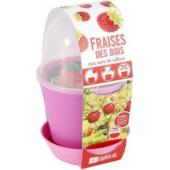 Image 1 of Radis et Capucine Ягоди - саксия с капак/оранжерия