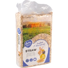 DUVO+ Podestýlka pro hlodavce sláma 1 kg