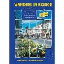 Wanders in Košice