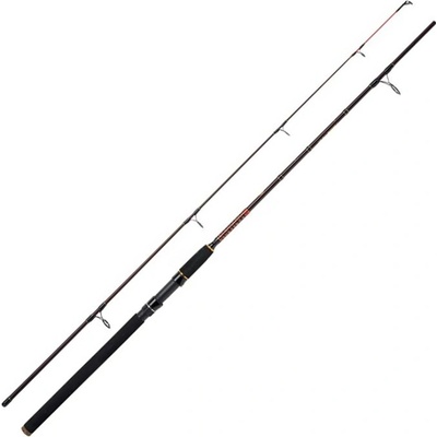 WFT Royal Never Crack Spin 2,4 m 10-30 g 2 díly