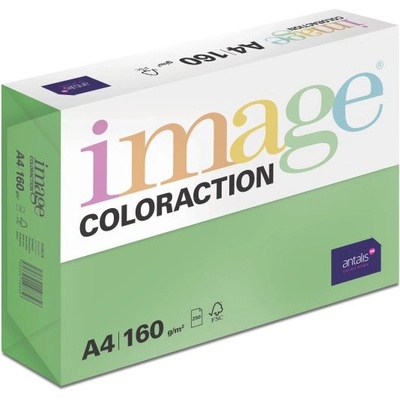 Papír Image Coloraction A4 80 g 500 Dublin tmavě zelená DG47 – Zboží Dáma
