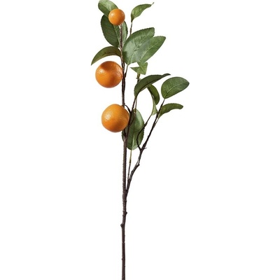 Florissima! Vetvička Pomarančovník 66 cm - Florissima