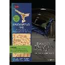 Incredibuilds: Fantastic Beasts and Where toJody Revenson