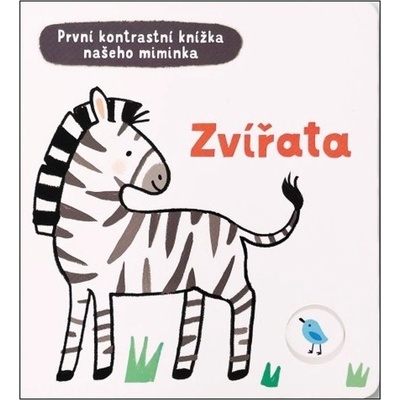 Zvířata
