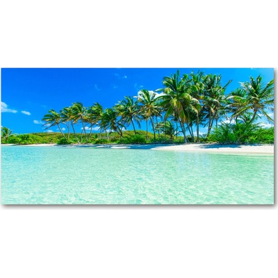 Foto obraz akrylové sklo Tropická pláž 100x50 cm