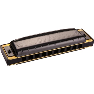 Hohner Pro Harp MS Richter-G Диатонична устна хармоника (M564086P)