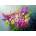 Enjoy - Puzzle A Bouquet of Roses for Her - 1 000 piese