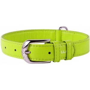 COLLAR Плосък кожен нашийник зелен 38 - 49см, 25мм