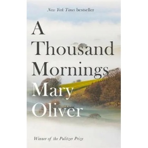 Thousand Mornings (ISBN: 9781472153760)
