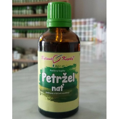 Bylinné kapky Čučoriedka vňať bylinné kvapky tinktúra 50 ml