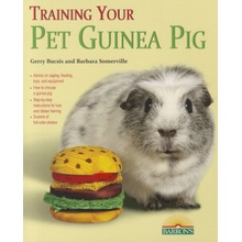 Training Your Guinea Pig - G. Bucsis