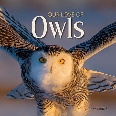 Our Love of Owls Tekiela Stan