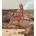 EmonaMall Бански костюми EmonaMall - модел W14006 (W14006-11258-4-SM)