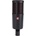 SE Electronics Dynacaster