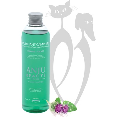 Anju Beauté Purifiant Camphre hluboce čistící 50 ml