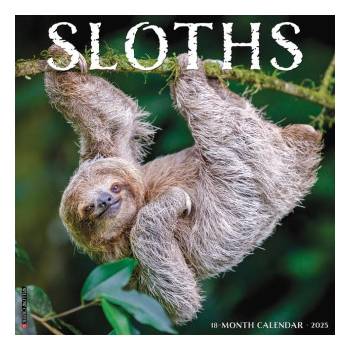 Willow Creek Press Calendars Sloths 2026 12 X 12 Wall Calendar | Willow Creek Press
