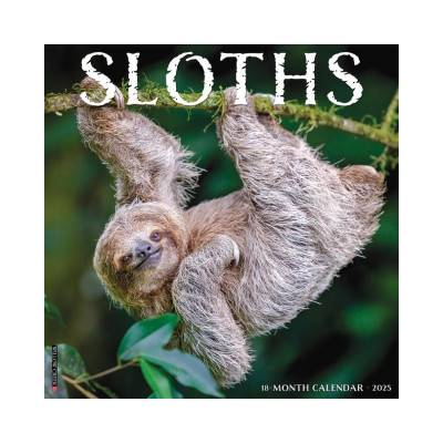 Willow Creek Press Calendars Sloths 2026 12 X 12 Wall Calendar | Willow Creek Press